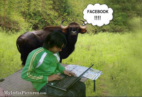facebook-funny