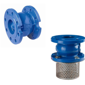 Cast iron check valve with spring and flange PN16 and strainer basket DN50 DN200