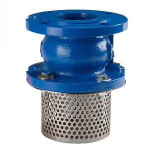 Cast iron check valve with spring PN16 and stainless steel strainer basket for drinking water